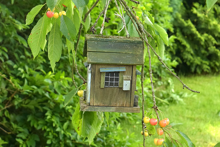 Bau eines Futterhäuschens