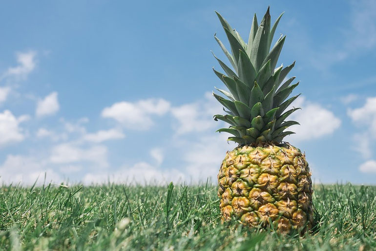 Der König, sein Daumen und die Ernährung