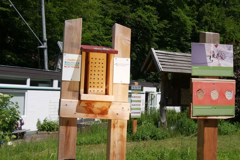 Der Wildbienenlehrpfad