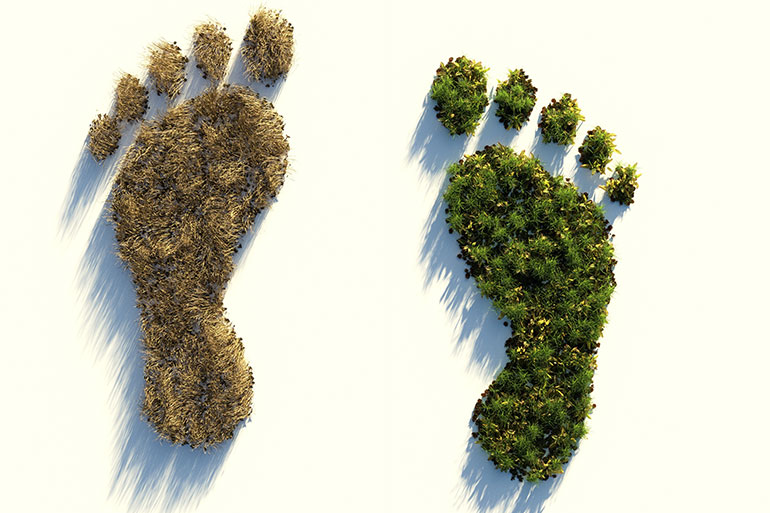 Mein ökologischer Hand- und Fußabdruck