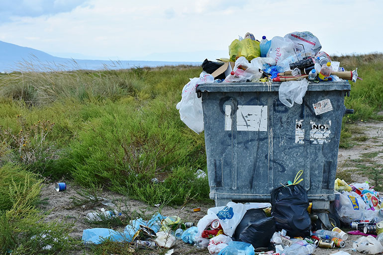 Natur kennt keinen Müll