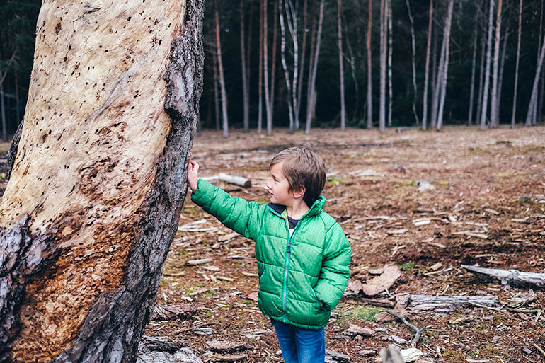Zwergenforscher im Wald